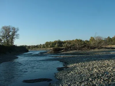 Волшебные моменты у Реки Кубань - бесплатные фото в хорошем качестве