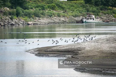 Исследуйте красоту реки Кура через фотоальбом