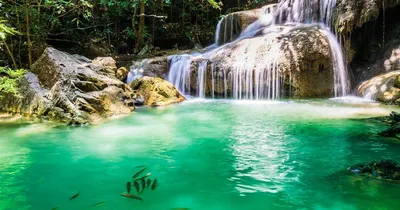 Превосходные фото Реки Квай туристов на ваш выбор