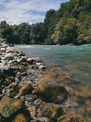 Исследуйте Реку Лаба через фотографии: Скачать бесплатно в HD и 4K