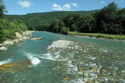 Откройте для себя магию Реки Лаба через эти потрясающие фото