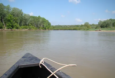 Природное великолепие Реки Лаба во всей своей красе: фотографии