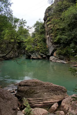 Фотография реки Лаба в прекрасном качестве