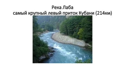 Природные фотографии Реки Лаба: великолепный вид.