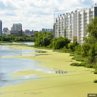 Река Миасс на фото в высоком качестве