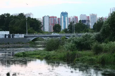 Свежие снимки Реки Миасс для скачивания бесплатно