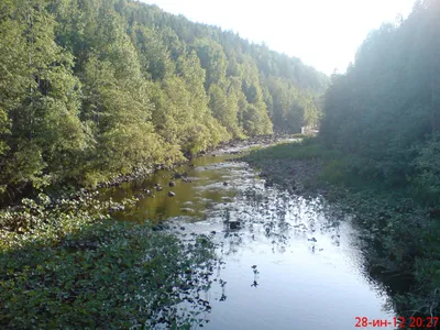 Великолепные пейзажи Реки Миасс в лучах заката