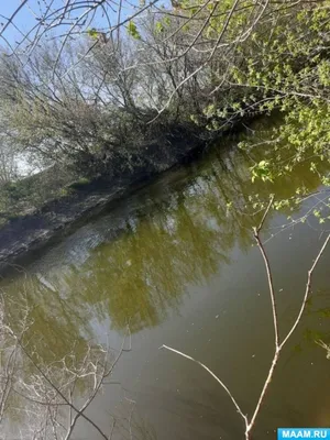 Исследуйте водные просторы Реки Миус через фотографии