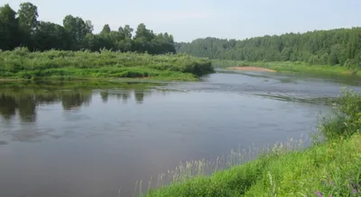 Неповторимая красота Реки Мста на монохромных фотографиях