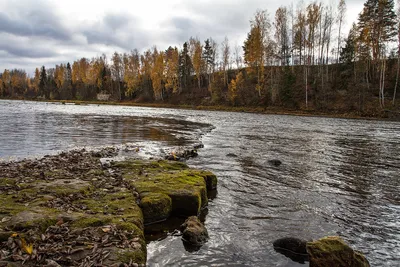 Фото на айфон с прекрасным пейзажем реки Мста