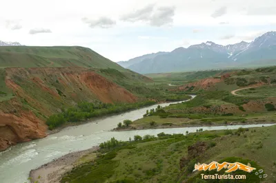 Фото реки Нарын в HD качестве