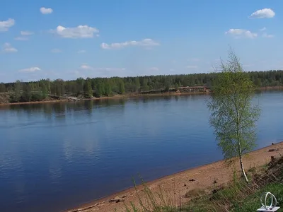 Река Нева на айфон: фото для вашего устройства