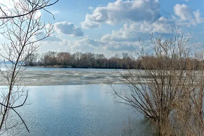 Фото реки Обь на айфон в хорошем качестве