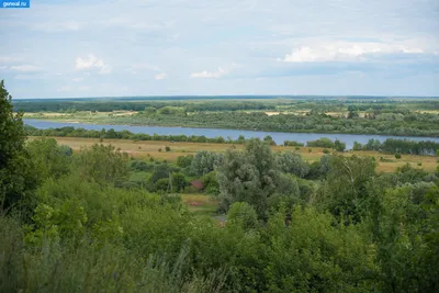 Река Ока: природное чудо в объективе фотокамеры