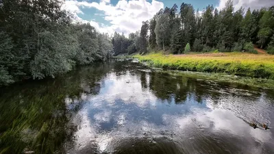 Прекрасные виды Реки Оредеж в стиле 4K