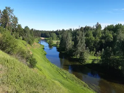 Фотосессия на берегу реки Оредеж