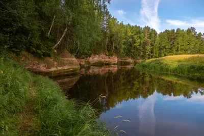 Путешествие по реке Оредеж в фотографиях