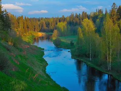 Яркая фотография реки Оредеж в формате JPG