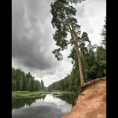 Фото реки Оредеж в HD: природная красота на вашем экране