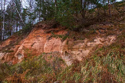 Фото реки Оредеж в арт-стиле: уникальные и креативные изображения