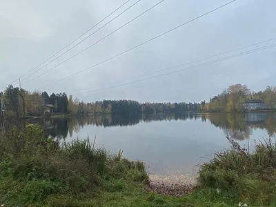 Утонченные оттенки синего в воде Реки Оредеж