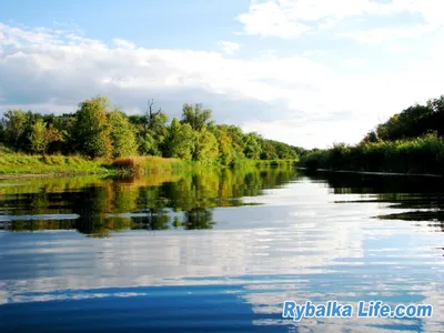 Фото Реки Орель: Откройте для себя ее живописные пейзажи