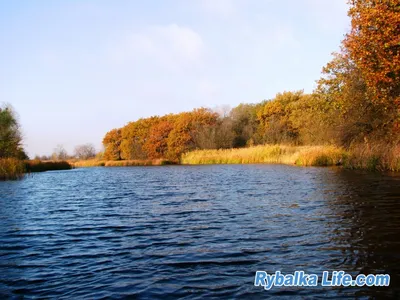 Фотографии Реки Орель: Откройте для себя ее уникальные моменты