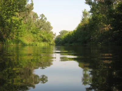 Фотография реки Орель в макро-съемке