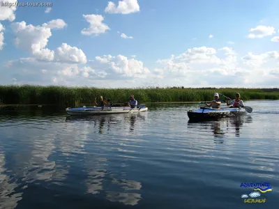 Фото реки Орель в природном окружении