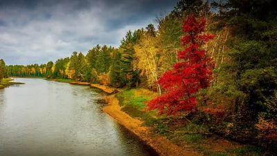 Природа во всей красе: фото реки осенью для скачивания