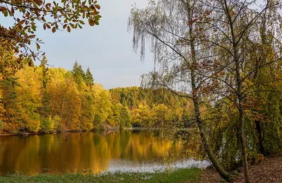 Удивительные виды реки осенью: бесплатно скачайте фото в HD качестве