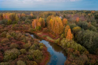 Осенний туман на реке