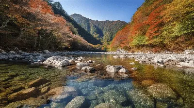 Фотография реки осенью: прекрасный фон для рабочего стола