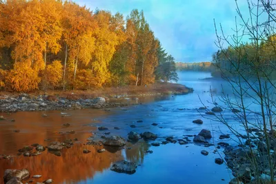 Изображения реки осенью: великолепные фотографии природы