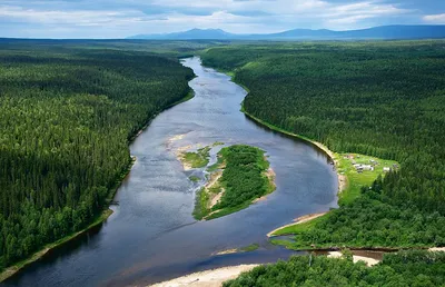 Водная жизнь Реки Печоры на фото: удивительное разнообразие