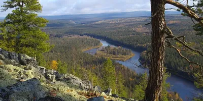 Фотографический путеводитель по Реке Печоре: откройте для себя красоту природы