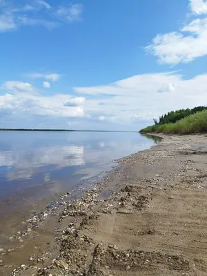 Фото: Красивая река Печора в HD качестве, 2024 год.