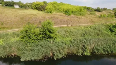 HD фотография реки с волнами на воде