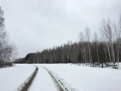 Фото реки со снежными горами на фоне