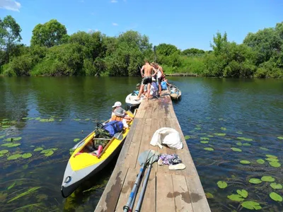 Путешествие по Реке пьяна: увлекательное приключение на воде