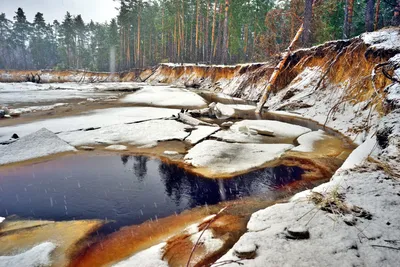 Красивые фото Реки пра: скачать бесплатно в HD качестве