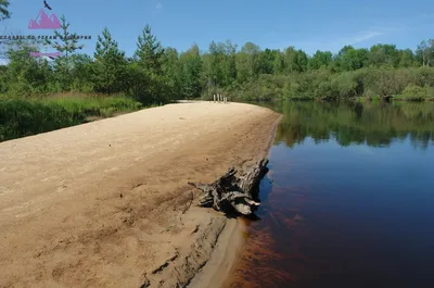 Фото: Загадочная красота реки Пря