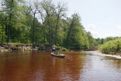 Мир спрятанный под водной гладью реки Пря на фото