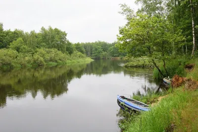 Фон с изображением реки Пра