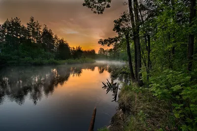 Фотографии природы: Река пра в прекрасных кадрах