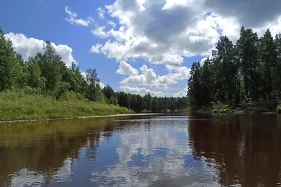 Фотография реки Пра на заднем фоне