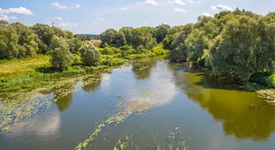 Фото Реки Протва: Красота природы в объективе