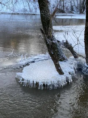 Живописная Река Протва: Эксклюзивные кадры