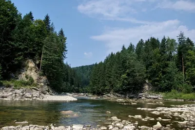 Потрясающие снимки Реки прут в разных ракурсах