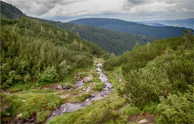 Фотографии реки Прут: вдохновение природой